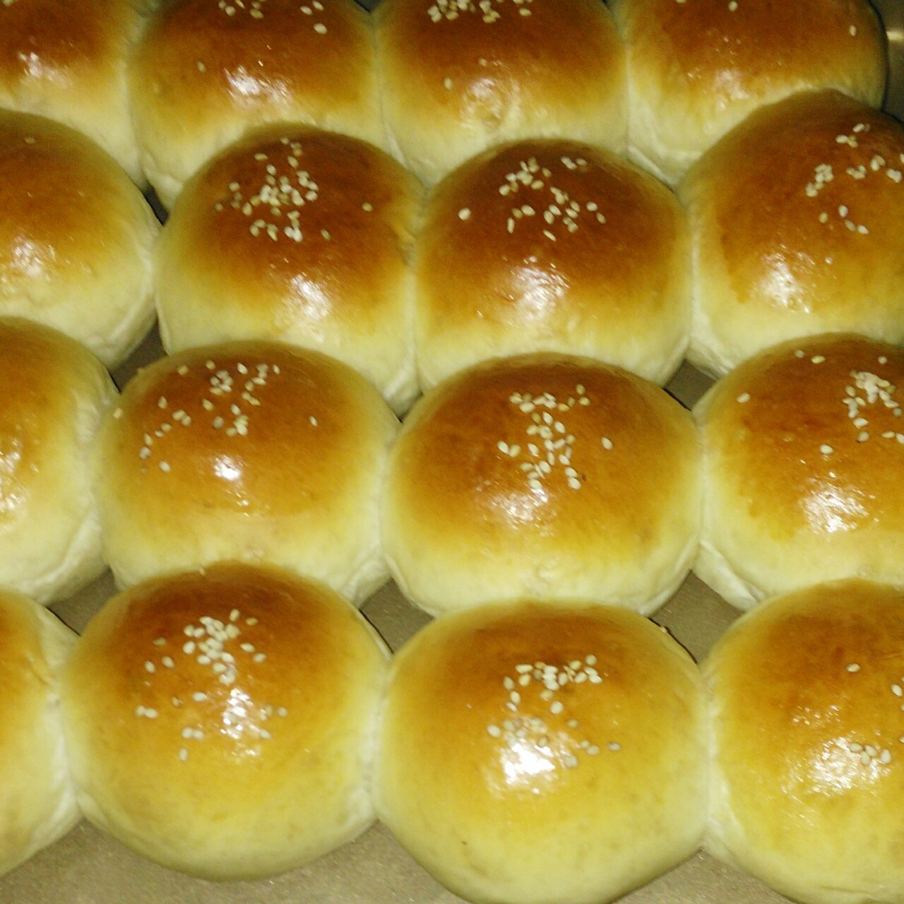 小餐包（中种）