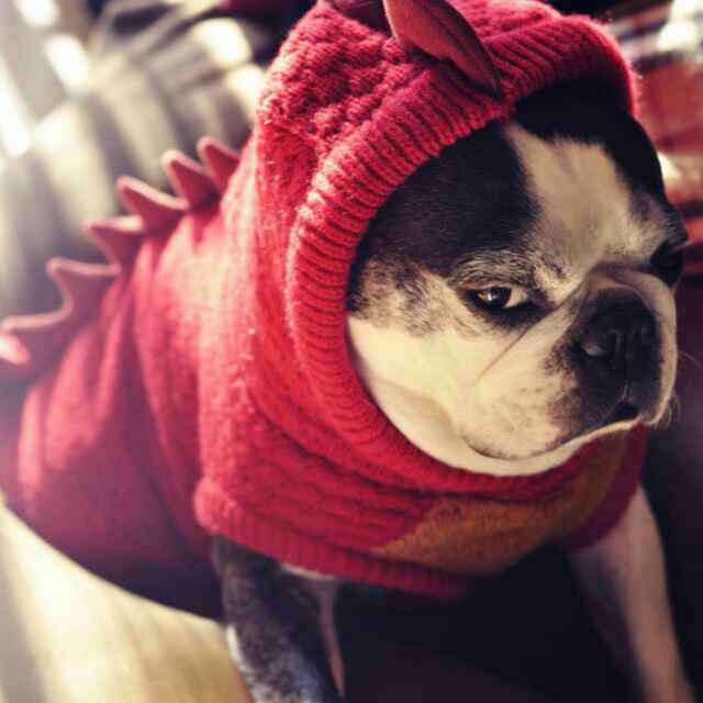 温柔霸气你小妈