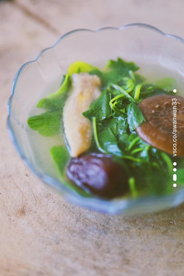 香菇炖鸡汤