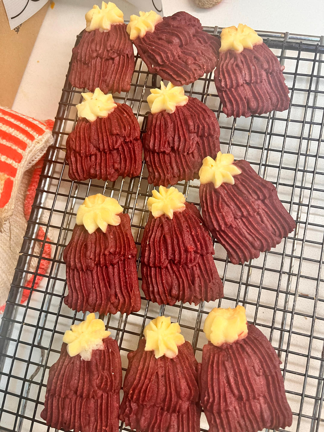 圣诞曲奇饼干礼盒🎁好挤不费手，一次学会5款！