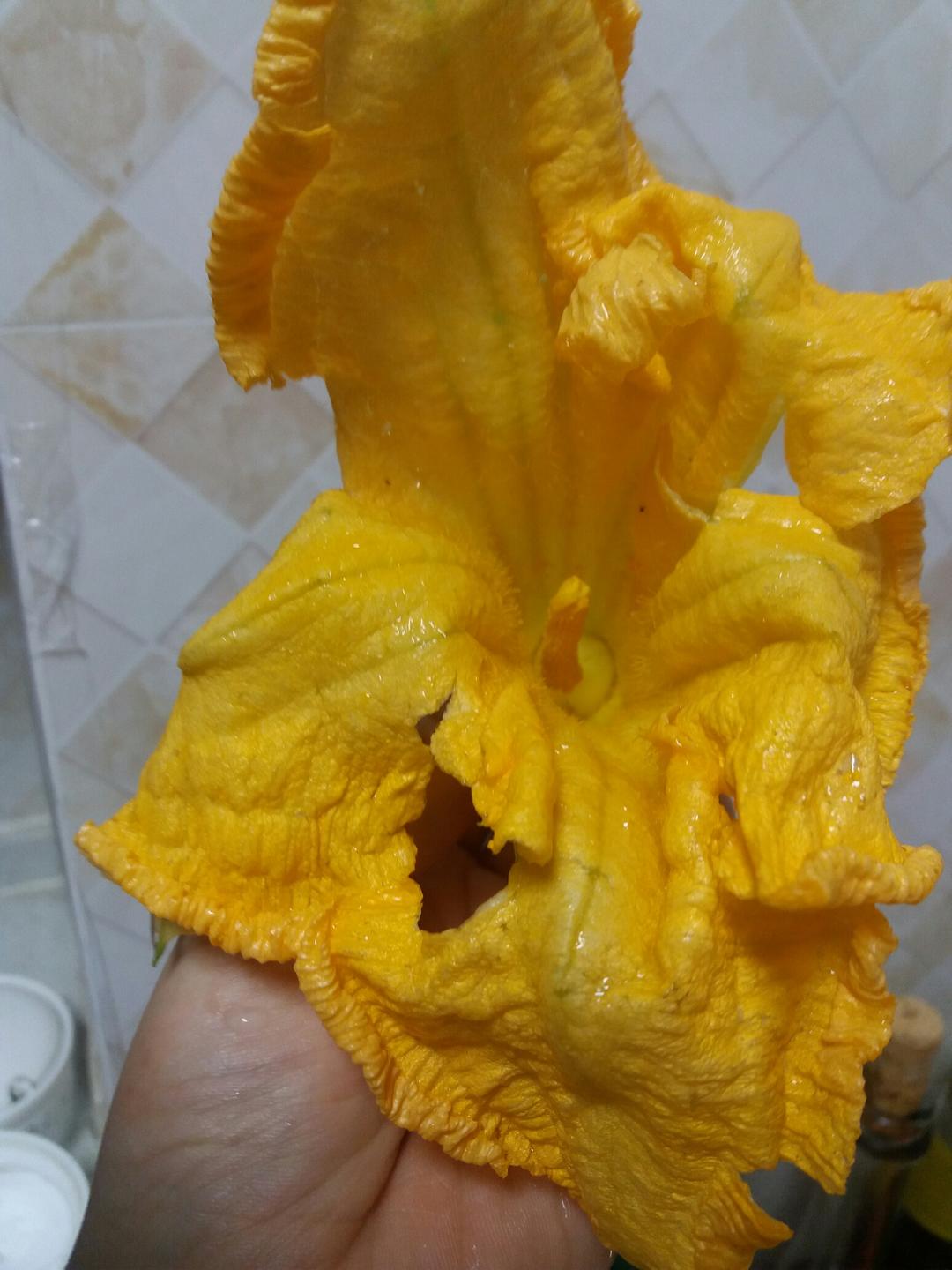 南瓜花酿的做法步骤图 南瓜花酿怎么做好吃 谦娘 下厨房