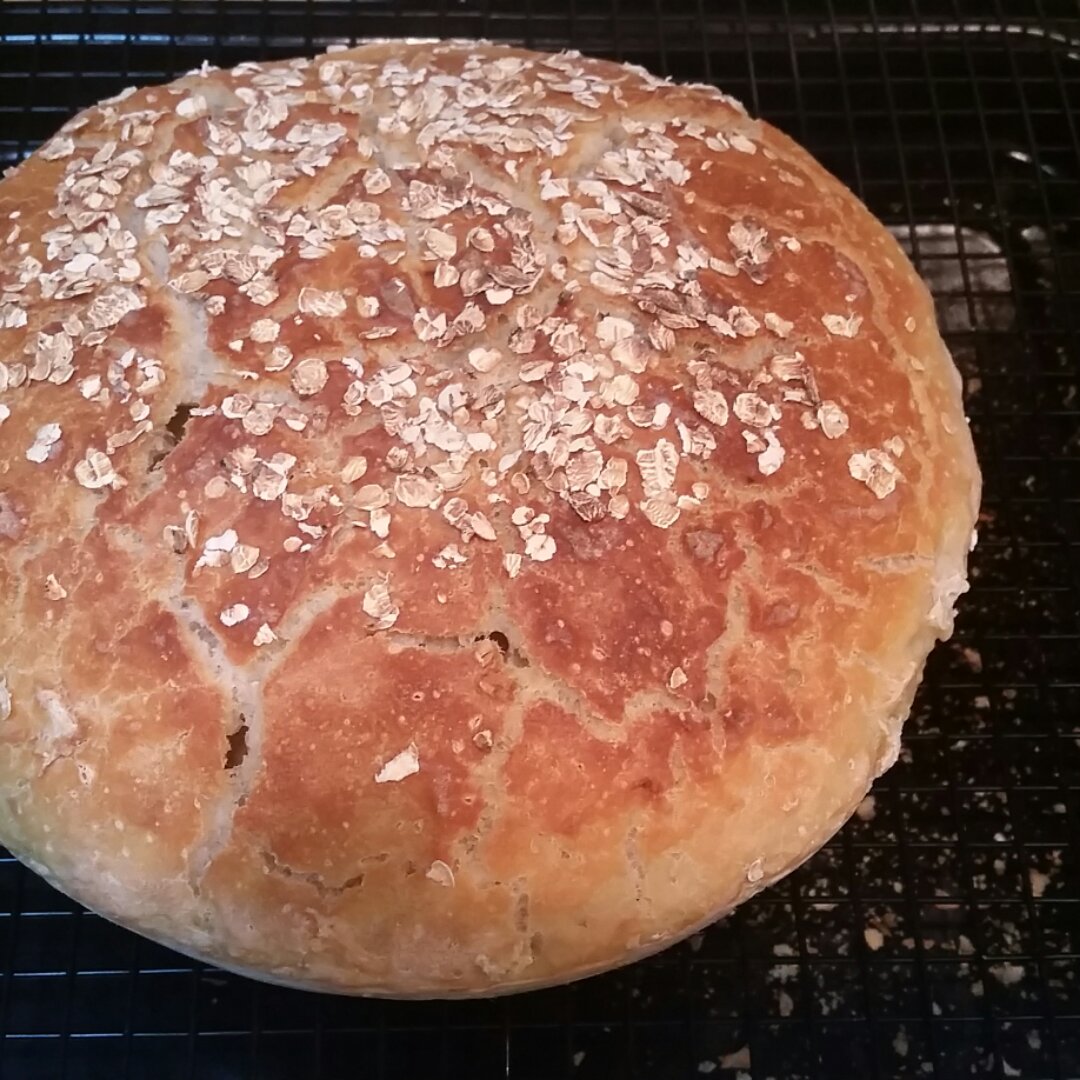 欧包/乡村面包-无油不用揉 No Knead Bread