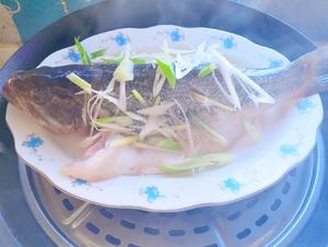 13～NANA清蒸鲈鱼☞且熟且嫩且无腥的小技巧的做法 步骤4