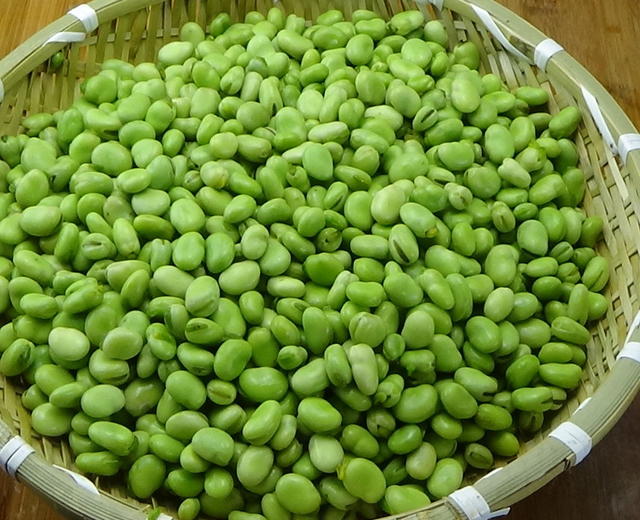 农家蚕豆采收和保鲜的做法
