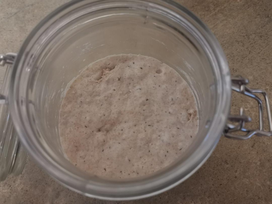 【Ken Forkish】天然酵种培养