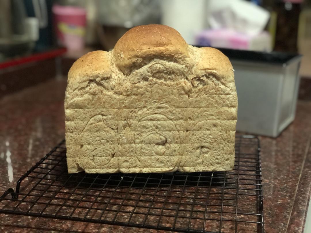 双种芝麻全麦吐司 100%全麦 烫种+波兰种