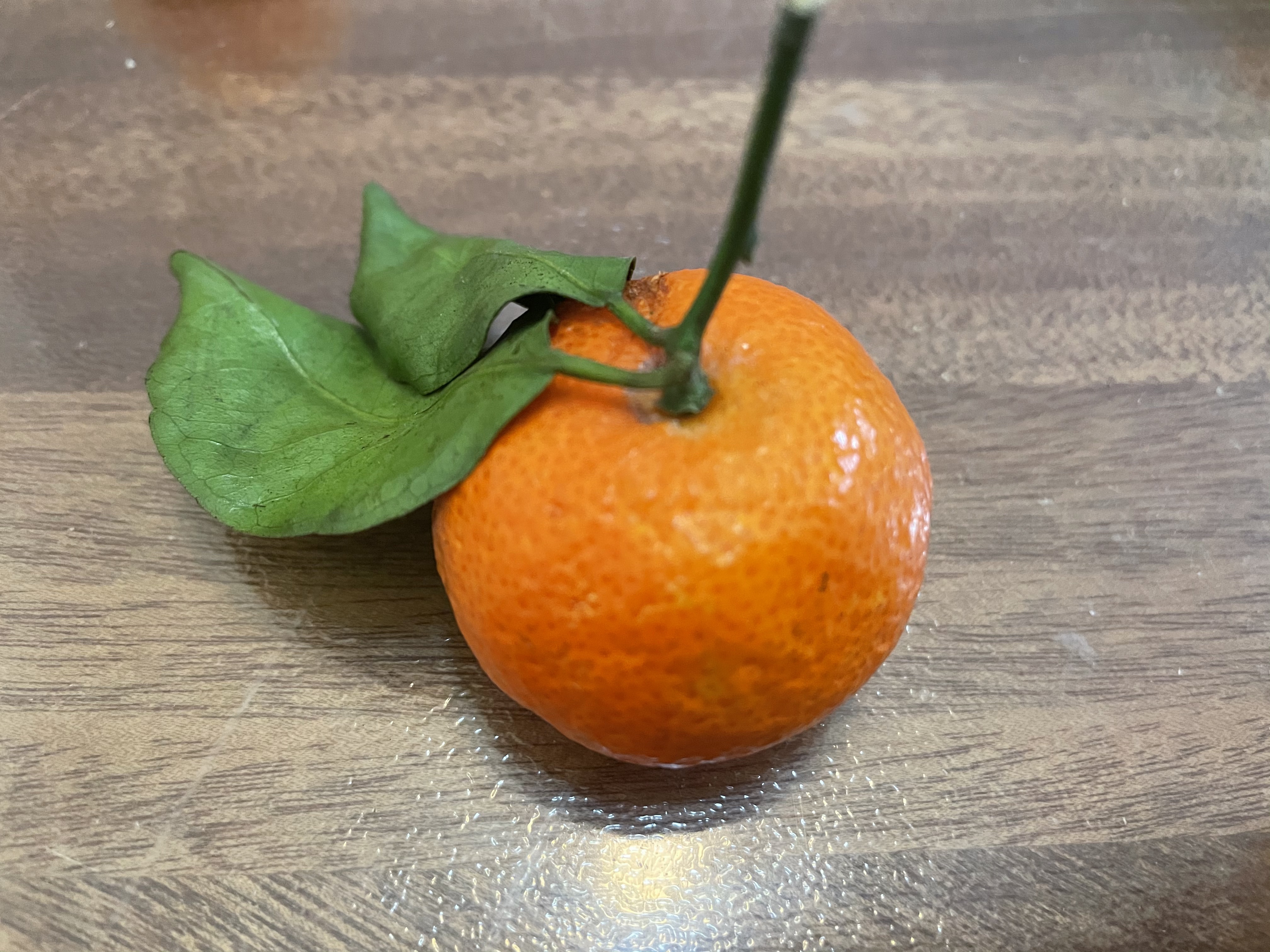 南瓜子爱上小蜜橘的做法