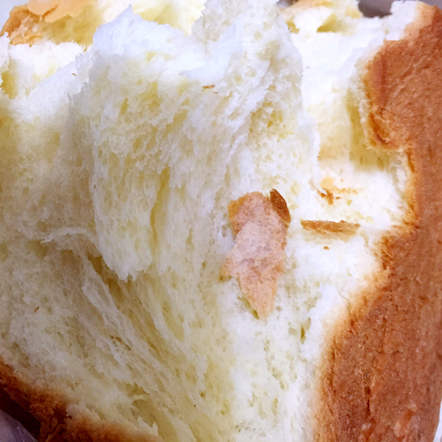 东菱面包机做松软拉丝面包