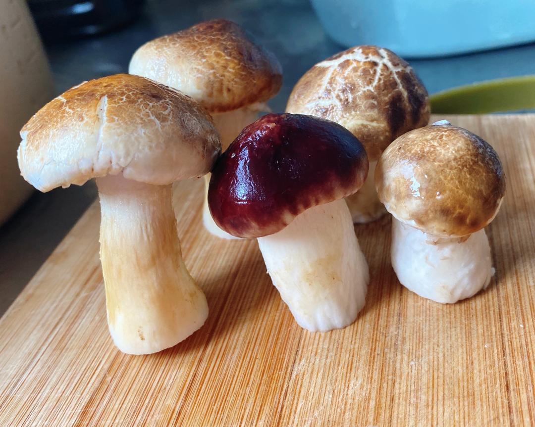 熬一罐松茸油 放冰箱 啊春天的做法