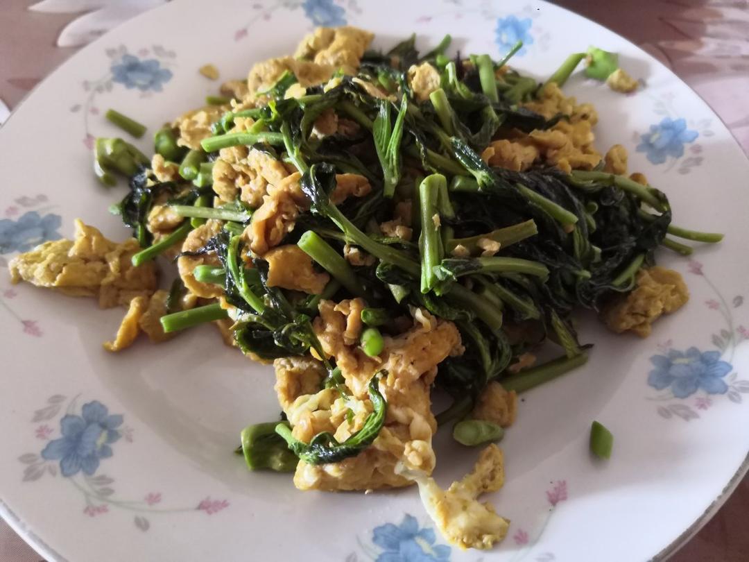 香椿炒鸡蛋