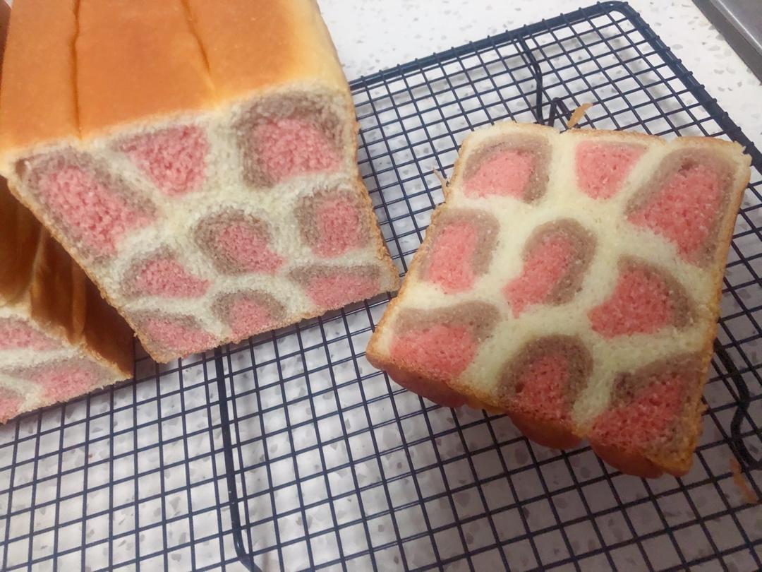 棉花糖豹纹吐司~田田版