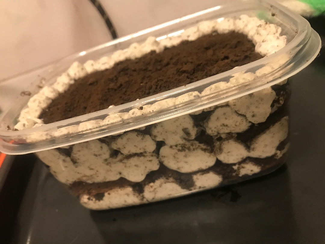 好吃到流泪的奥利奥咸奶油盒子蛋糕