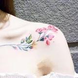鲸_小姐
