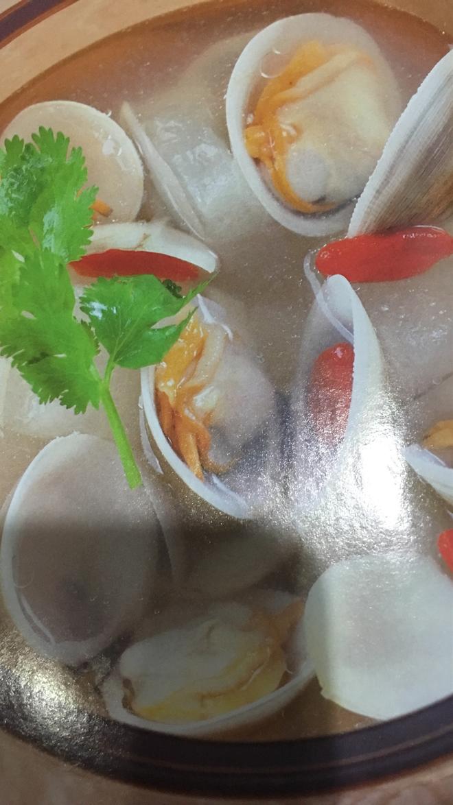 冬瓜百合文蛤汤的做法