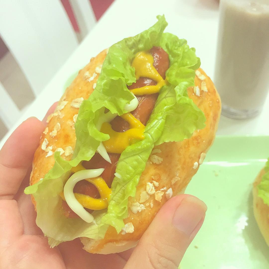 超可爱的Mini小热狗