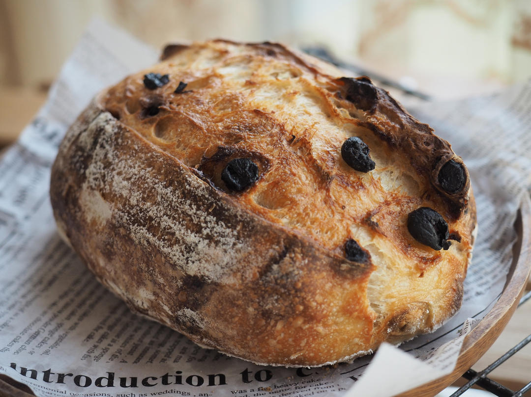 鲁邦种小白欧包（新手也能成功的懒人欧包）