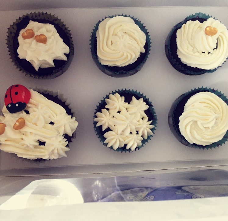 古典巧克力cupcake配马斯卡彭奶油霜