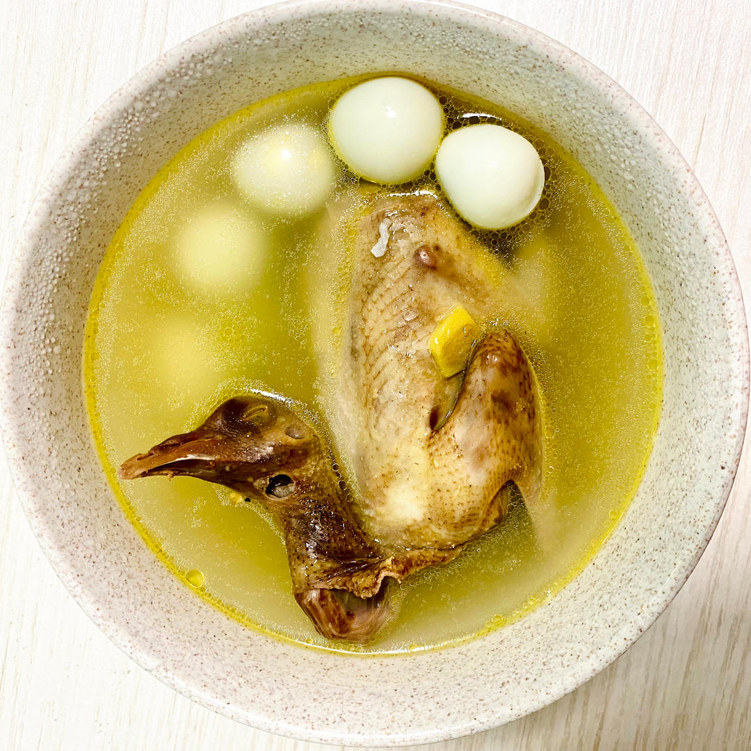 零失败养生鸽子汤