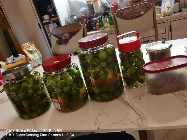 【青梅酒】梅子的沉醉时光（已填坑）