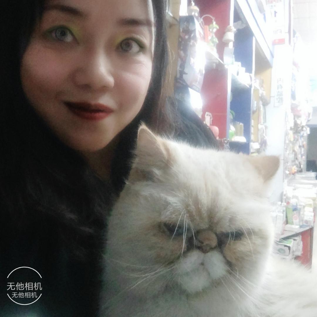 蓝猫1214