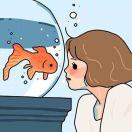 一只小小太阳鱼