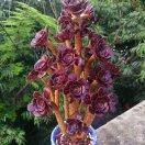 手机用户6939_imqc