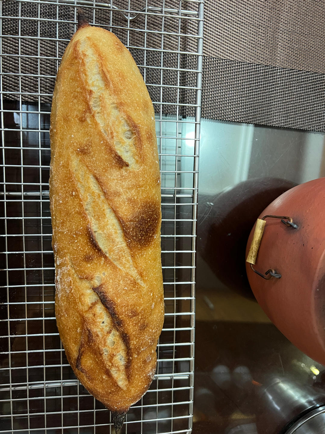 鲁邦种法棍详细教程