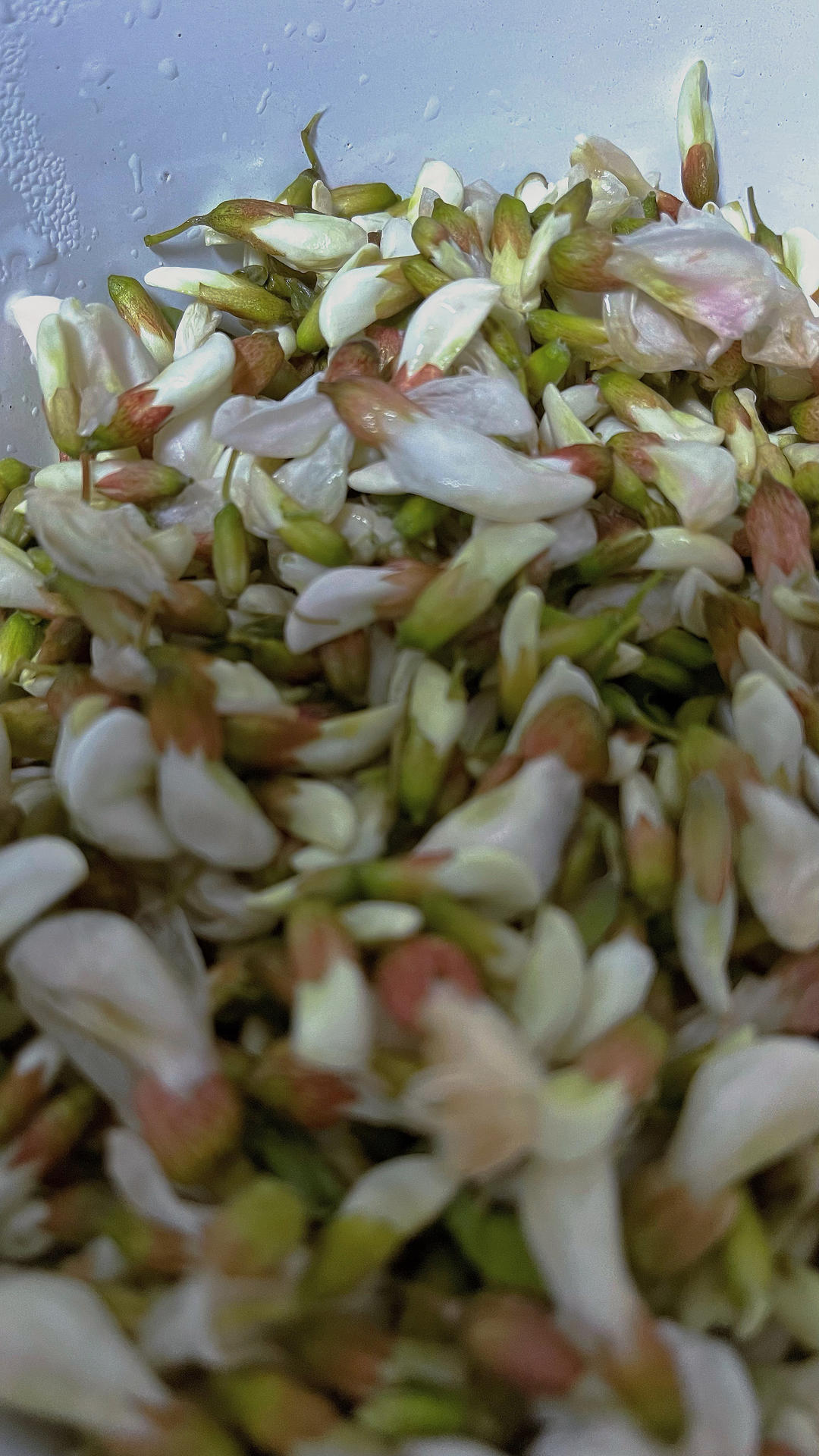 槐花炒鸡蛋