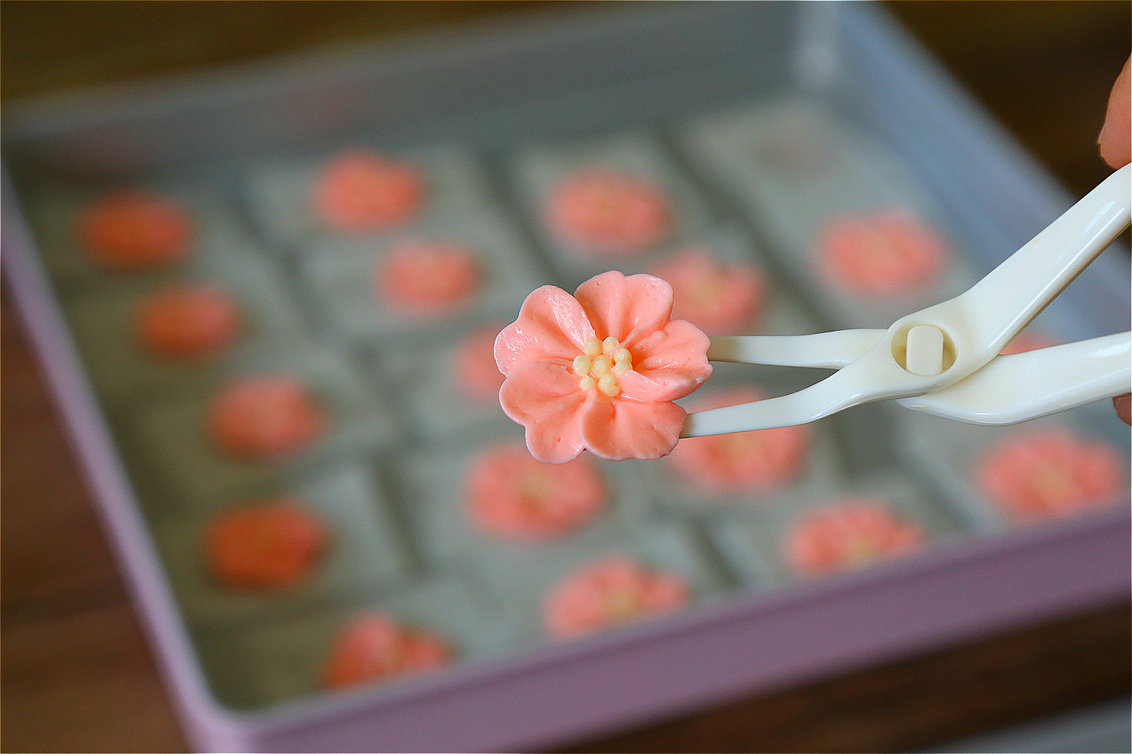 韩式裱花：如何裱出一朵漂亮的五瓣花！