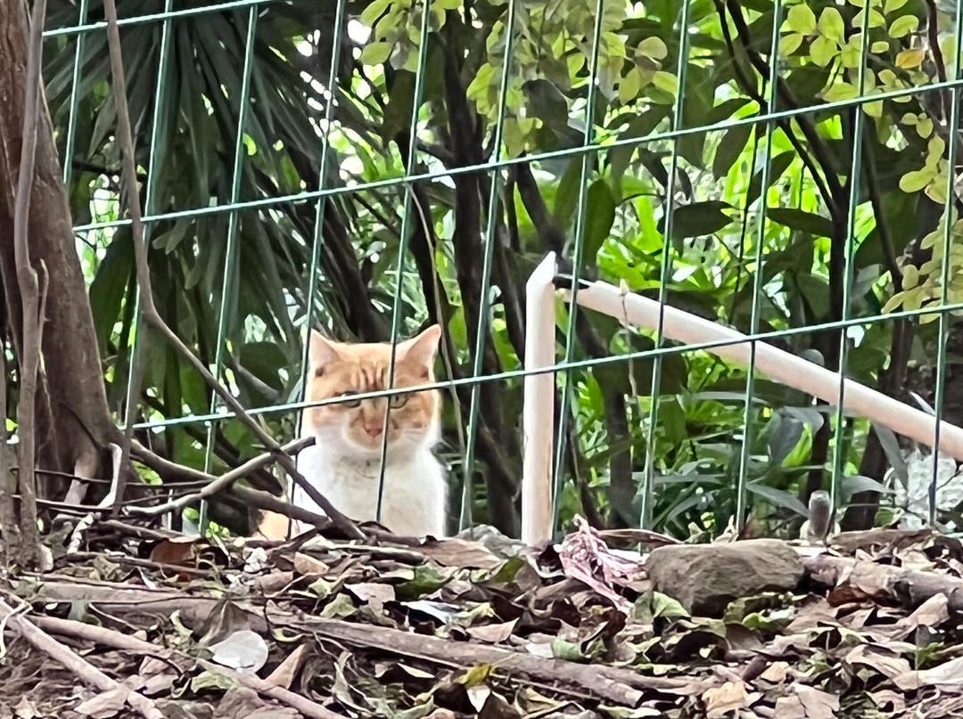 下厨房用户_juhg