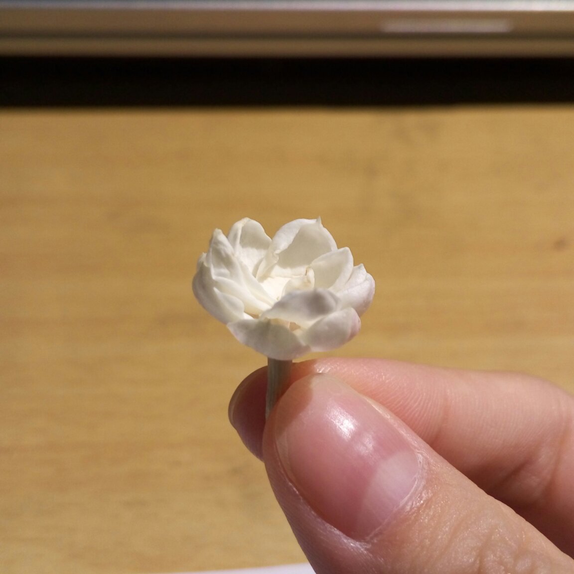 Sn_淑娜