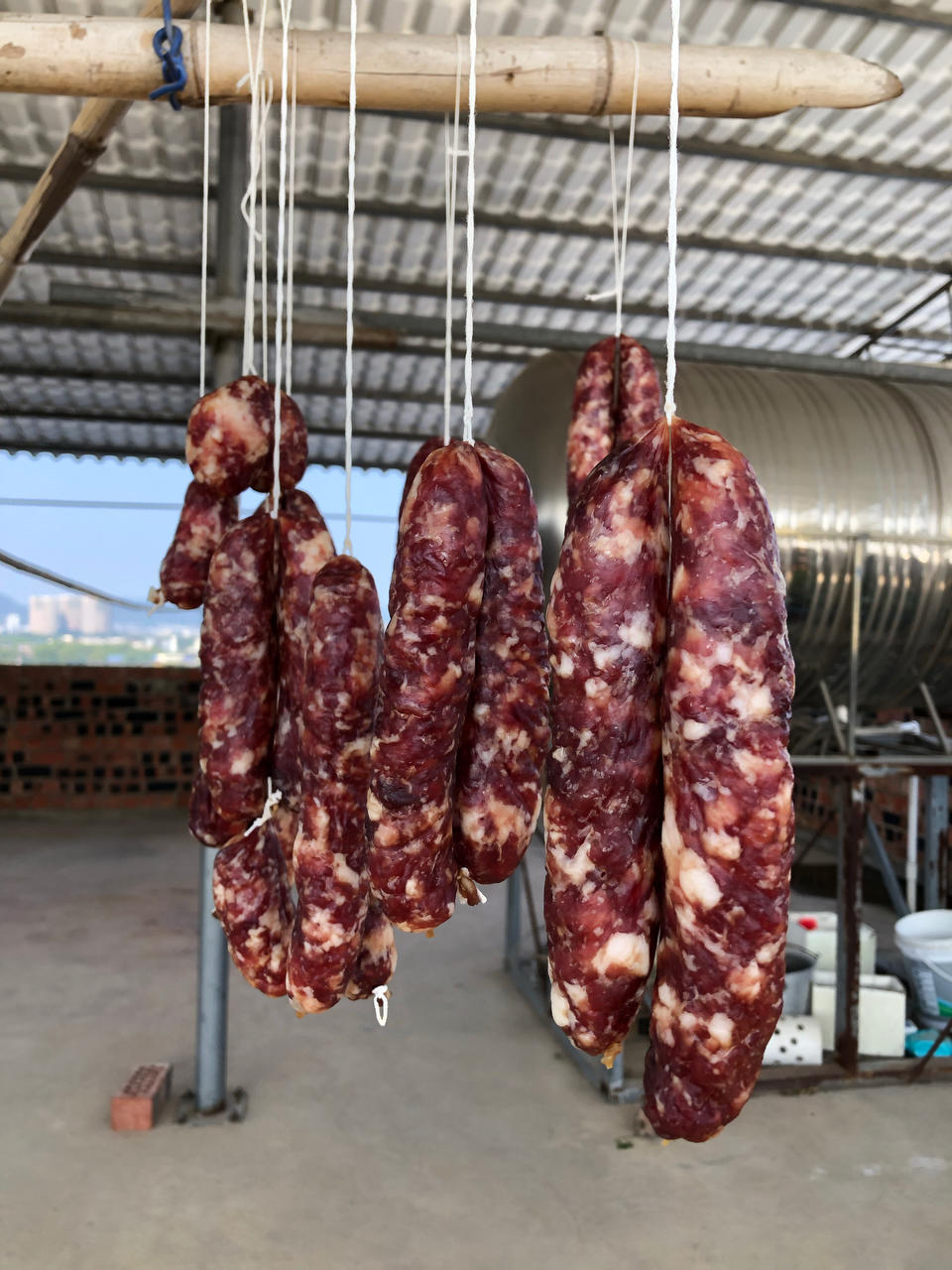 自制广味腊肠
