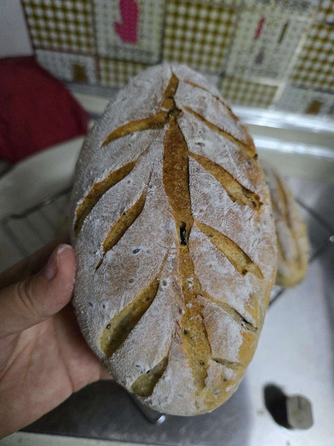 全麦软欧包（有啥放啥，健康美味，流程简易）