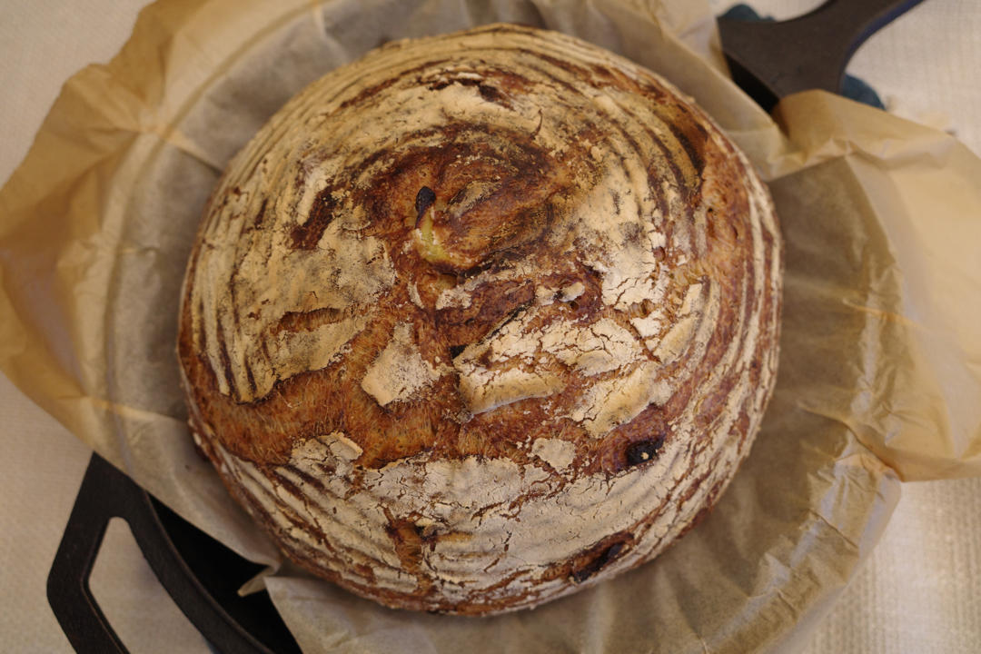 天然酵种西葫芦帕玛森乳酪欧包