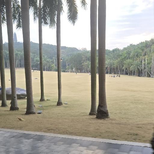菜就练个菜吧