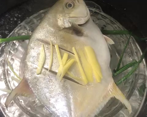 简单美味的清蒸金鲳鱼的做法