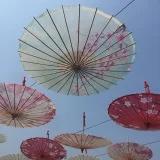 PE会做饭的吃货