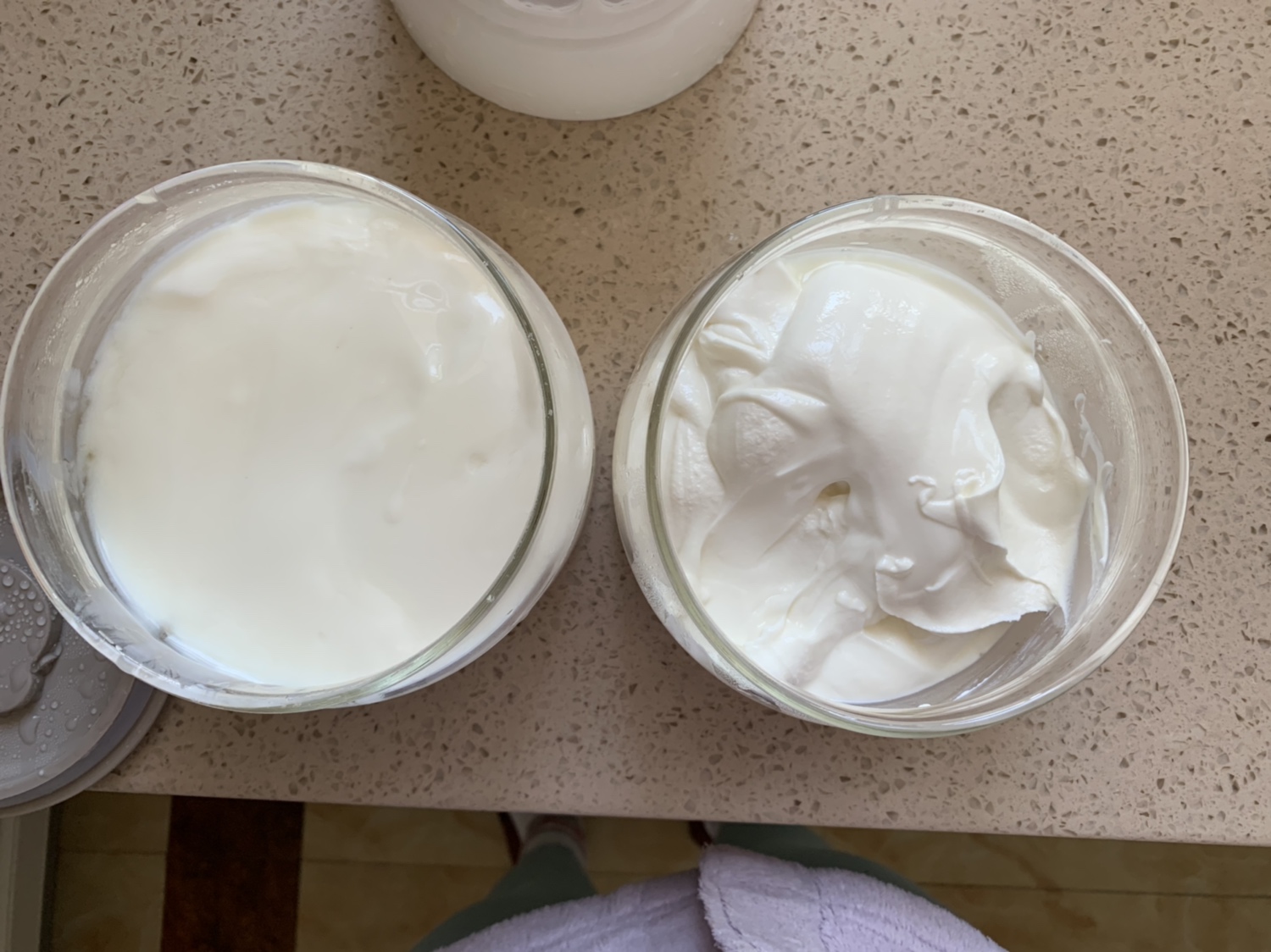 无添加希腊酸奶和脱脂酸奶哦的做法