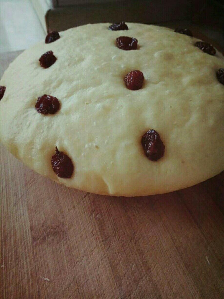 稀面南瓜🎃玉米面发糕