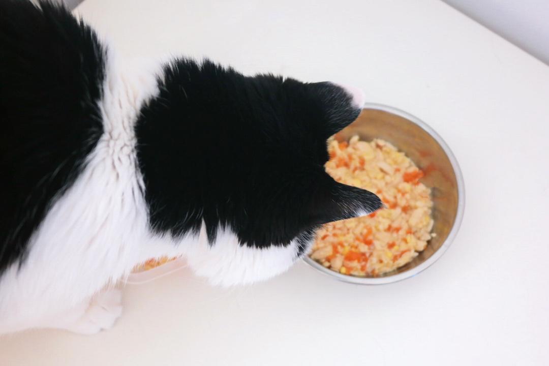 猫饭！猫吃的饭！