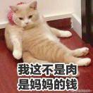 Iris要读好书