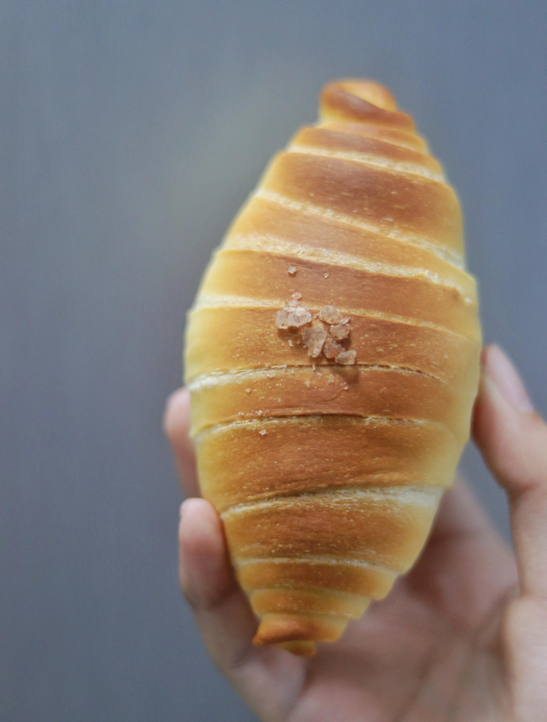 免手套膜❗️海苔肉松盐面包｜海盐卷｜盐可颂