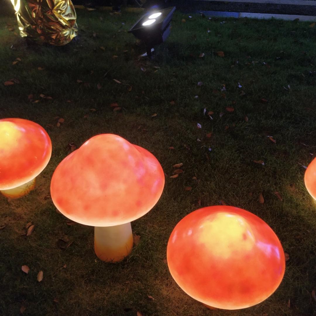 浆浆浆浆浆浆豆