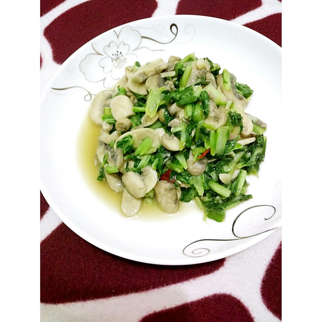 手捏菜炒蘑菇
