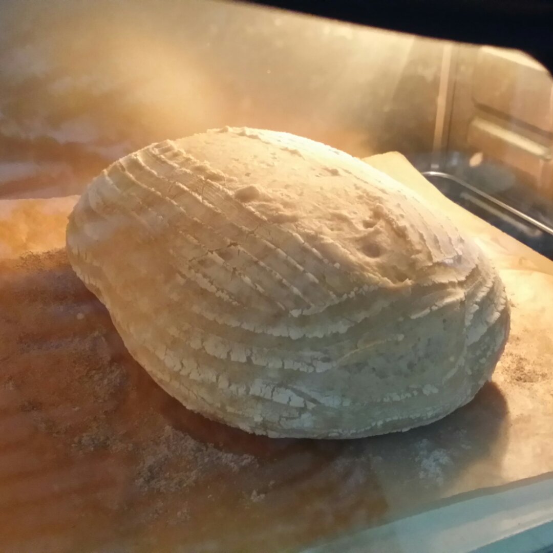 瞳5做的割口发烧友的面包椭圆形乡村面包70酵种3