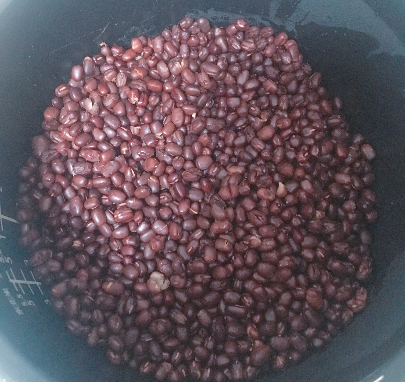 低脂黑全麦红豆包（详细版）的做法 步骤5