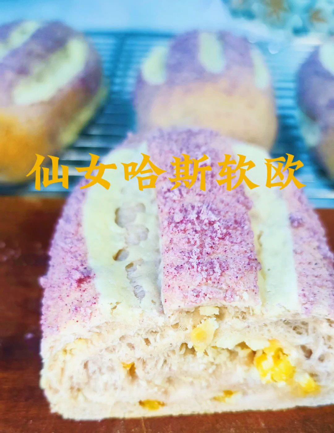 仙女哈斯软欧