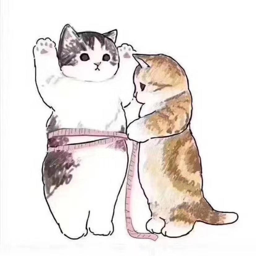 莹莹的厨神宝典