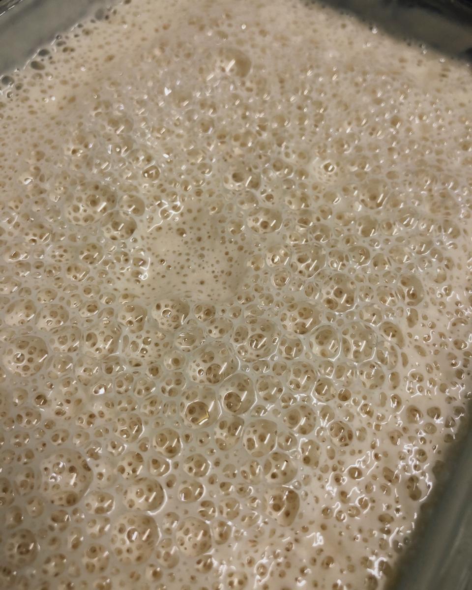 鲁邦液种（Levain  liquid）