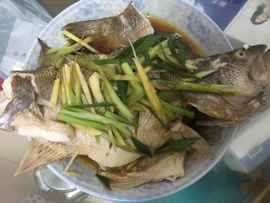 清蒸鲈鱼